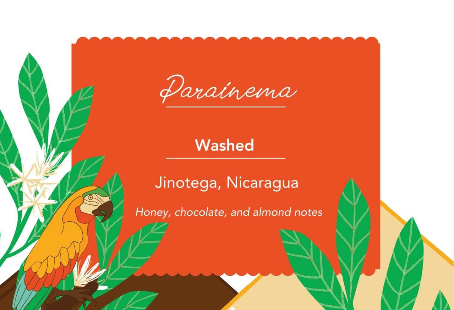 Coffee label showcasing Parainema, washed process from Jinotega, Nicaragua with honey, chocolate, and almond flavor notes.
