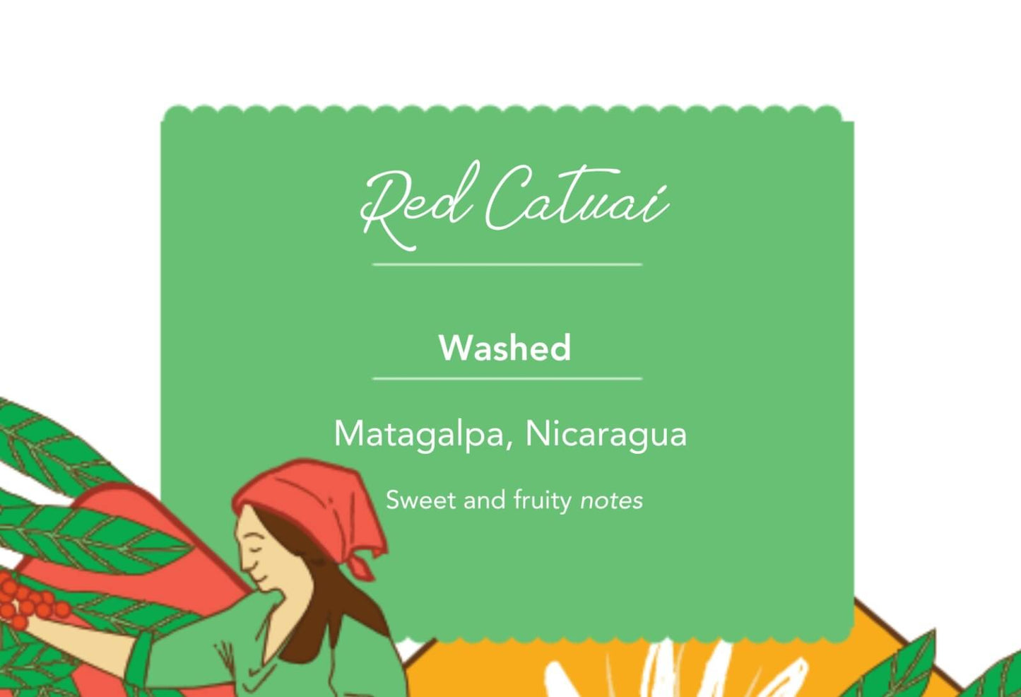 Americas Specialty Selection . Dark Roast . Whole Bean (1000G)