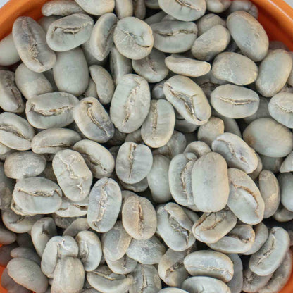 Green Coffee Beans From Nicaragua